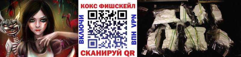 COCAIN Fish Scale  как найти закладки  Волгодонск 