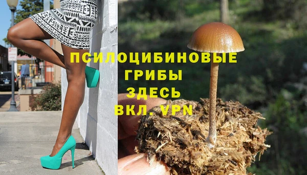 гидропоника Козельск