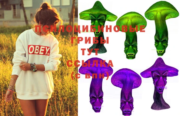 мет Козловка