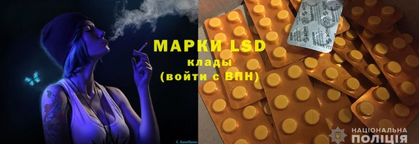 крисы Кодинск