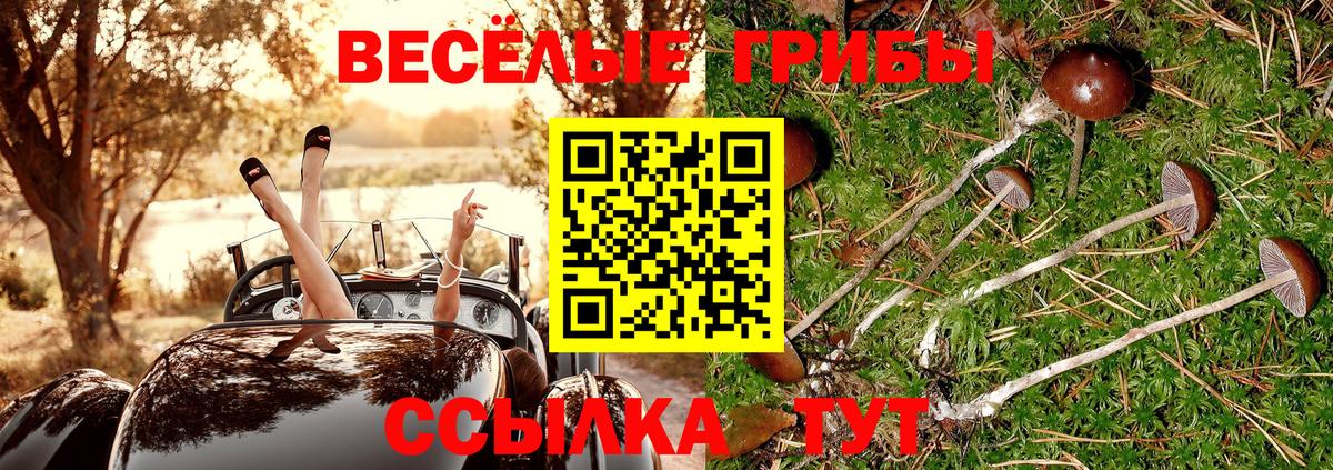 Галлюциногенные грибы MAGIC MUSHROOMS Волгодонск