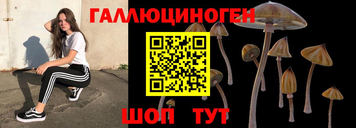 Волгодонск  Галлюциногенные грибы мицелий  Вход с VPN 